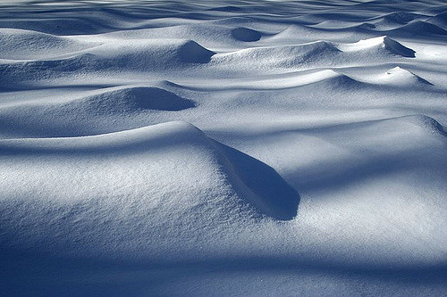 Wind dunes