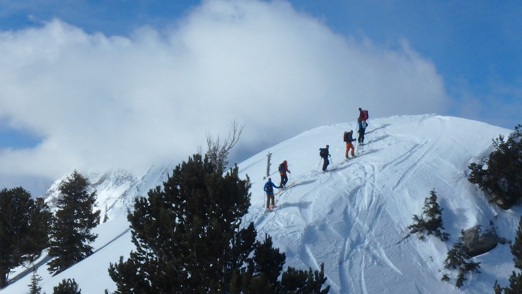 Group of skiers out in the backcountry