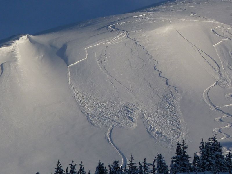 Avalanche out in the backcountry