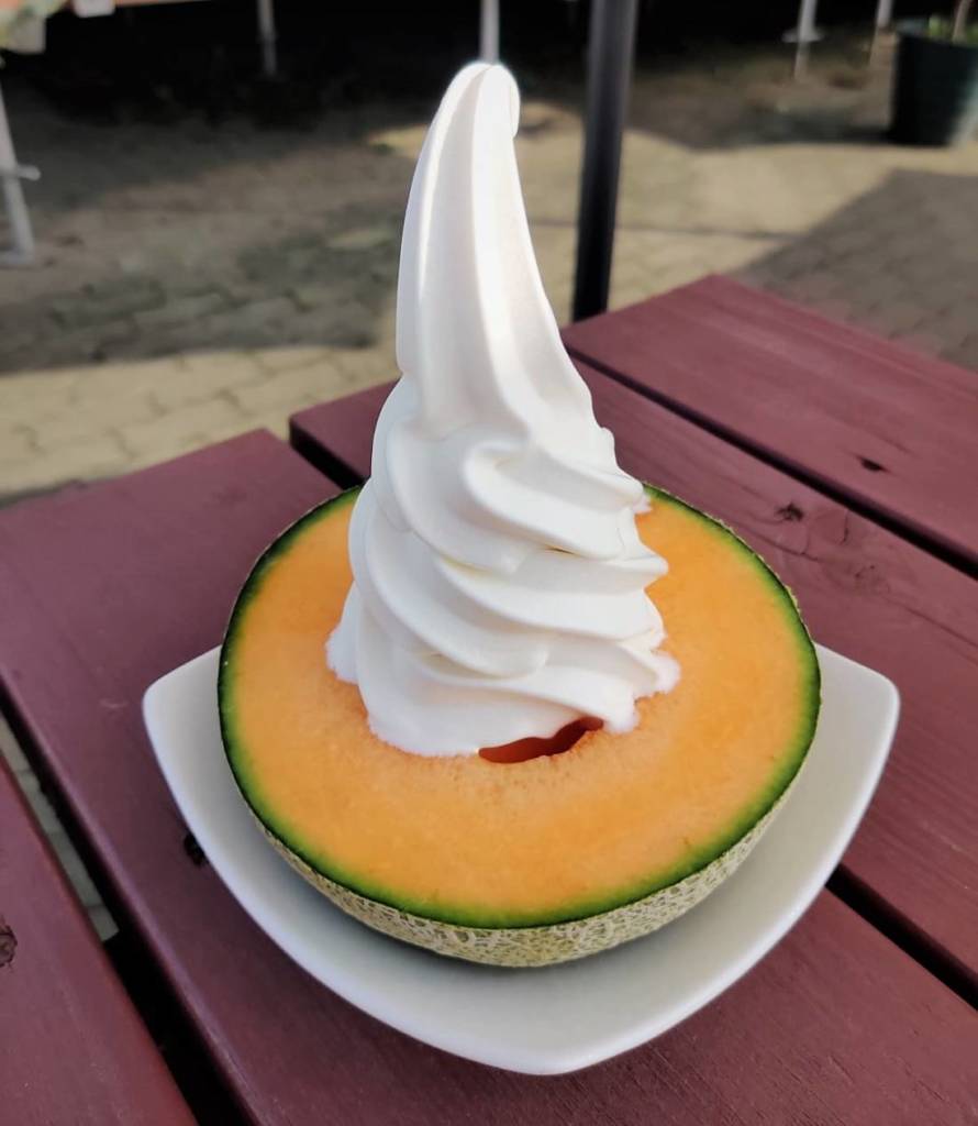 Melon with soft serve ice cream