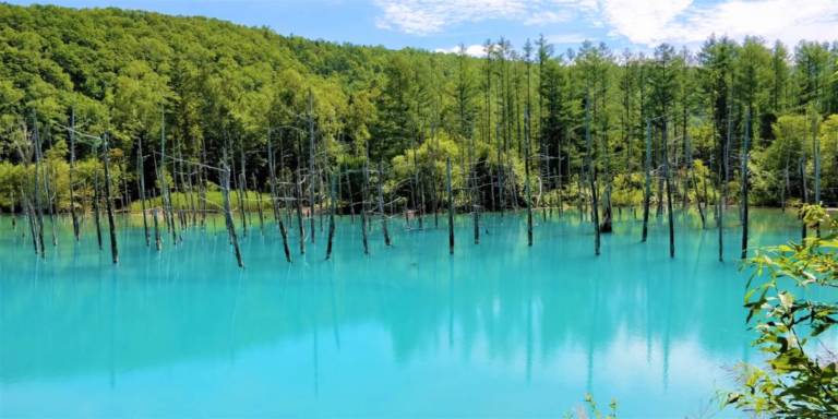 Shirogane Blue Lake in Biei, Hokkaido (Photo: Hokkaido Ski Club)